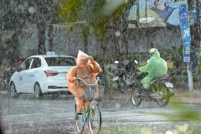 Cơn mưa ngang qua