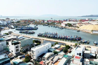 Thủ tướng Chính phủ quyết định thành lập Hội đồng Tư vấn chính sách