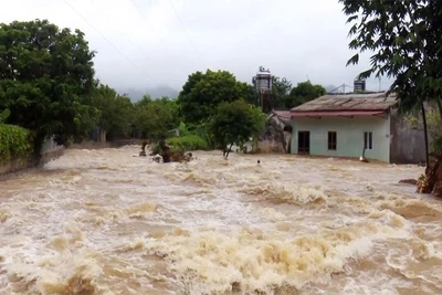 Yêu cầu tập trung ứng phó khẩn cấp với mưa lũ trên lưu vực sông Cả