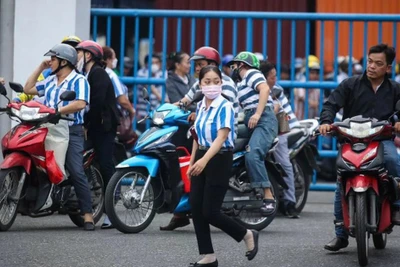 Bụt nhà không thiêng?