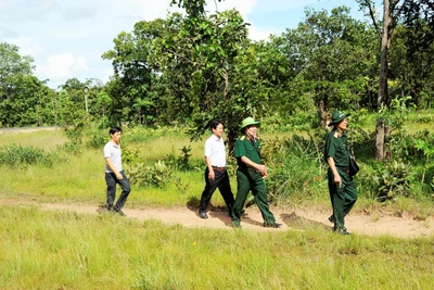 Chiến thắng thung lũng Ia Drăng năm 1965: Xứng đáng là di tích lịch sử cấp tỉnh