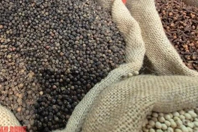 Giá tiêu hôm nay 21-4: Ẩn số thị trường Trung Quốc