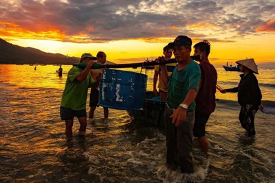 Biển Đà Nẵng đẹp ngất ngây vào khoảnh khắc bình minh, hút hồn du khách