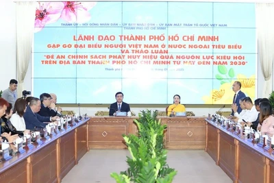 Tài lực, trí lực kiều bào