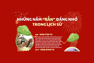 Điểm lại những năm "rắn" đáng nhớ trong lịch sử Việt Nam