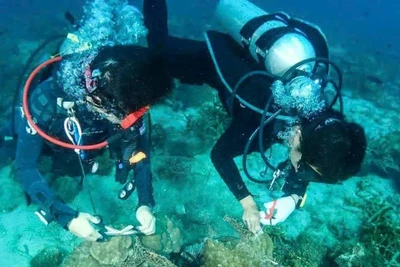 Việt Nam là một trong những điểm đến lặn biển được khách quốc tế thích nhất