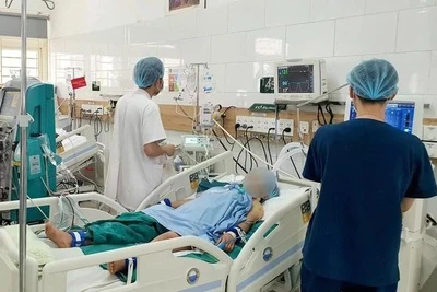 Lai Châu: Vợ chồng trẻ hôn mê sâu, tổn thương, suy đa tạng do ăn phải nấm độc