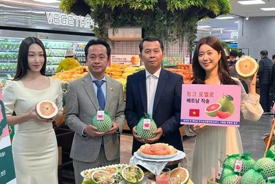 Bưởi Việt Nam được bán trong chuỗi siêu thị lớn nhất Hàn Quốc