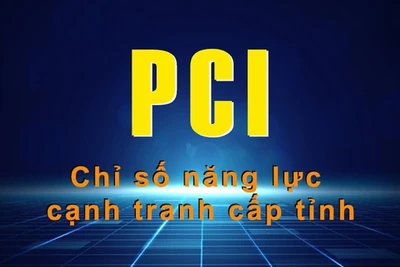 Đắk Lắk tăng 0,64 điểm, giảm 2 bậc trên bảng xếp hạng Chỉ số PCI năm 2024