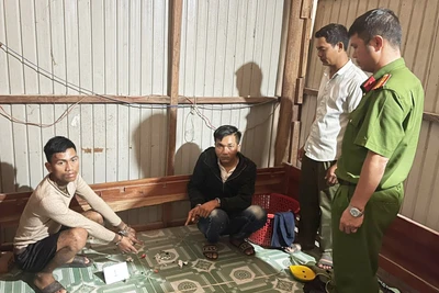 Tổ điều tra khu vực 3 tập trung truy quét tội phạm