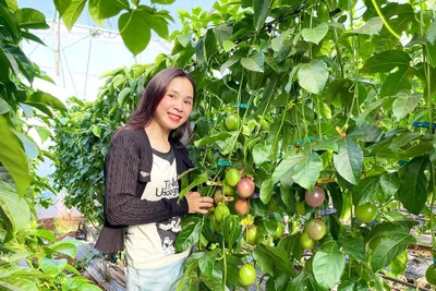 Thêm 4 mặt hàng nông sản được xuất khẩu chính ngạch sang Trung Quốc