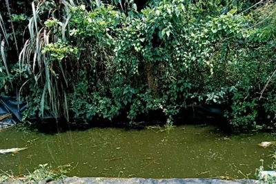 Cháu bé 5 tuổi bị đuối nước thương tâm dưới hồ tưới cà phê