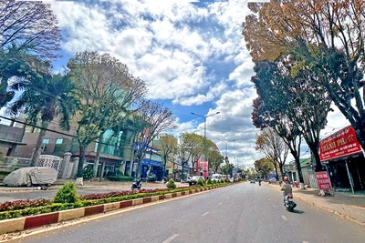 Thơ Lenguyen: Mùa qua phố