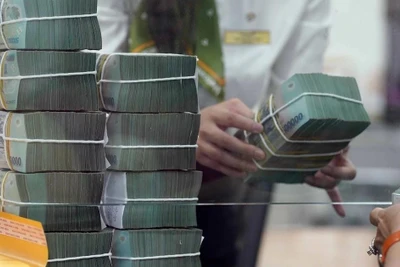 Vụ 573 loại sữa bột giả: Trốn thuế 'khủng' sao cơ quan thuế không biết?