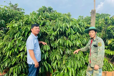 Điểm sáng trong phong trào học tập và làm theo gương Bác