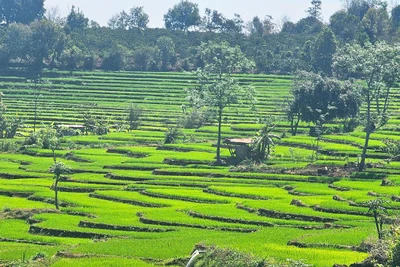 Độc đáo ruộng bậc thang ở xã Dun