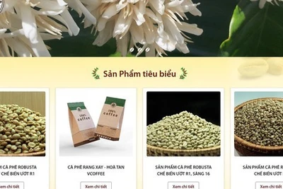 Giá cà phê hôm nay 7-4: 'Bí kíp' giúp công ty cà phê lãi gấp 10 lần