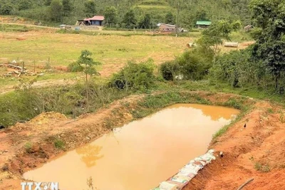 Đắk Nông: Đuối nước thương tâm tại ao trải bạt, 2 cháu nhỏ tử vong