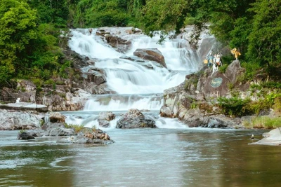 Yang Bay - Sắc xuân rực rỡ nơi đại ngàn