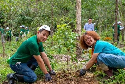 Sự kết hợp không thể thiếu