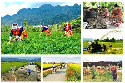 Lập Ban Chỉ đạo Trung ương các chương trình mục tiêu quốc gia giai đoạn 2021-2025