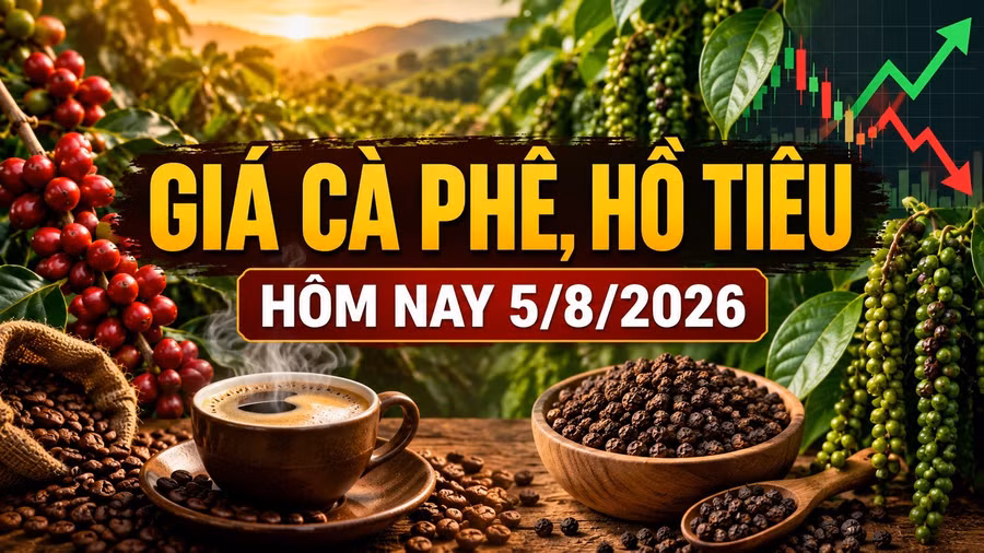 gia-ca-phe-ho-tieu-hom-nay-5-8-2026.jpg
