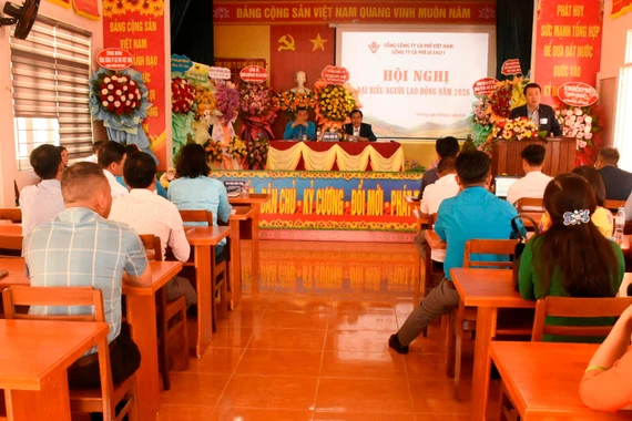 Phấn đấu năm 2026 đạt lợi nhuận 17,7 tỷ đồng