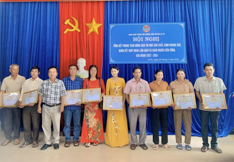 Các cá nhân được Chủ tịch UBND huyện tặng giấy khen vì có thành tích tiêu biểu trong thực hiện phong trào sản xuất, kinh doanh giỏi giai đoạn 2022-2024. Ảnh: Mai Linh