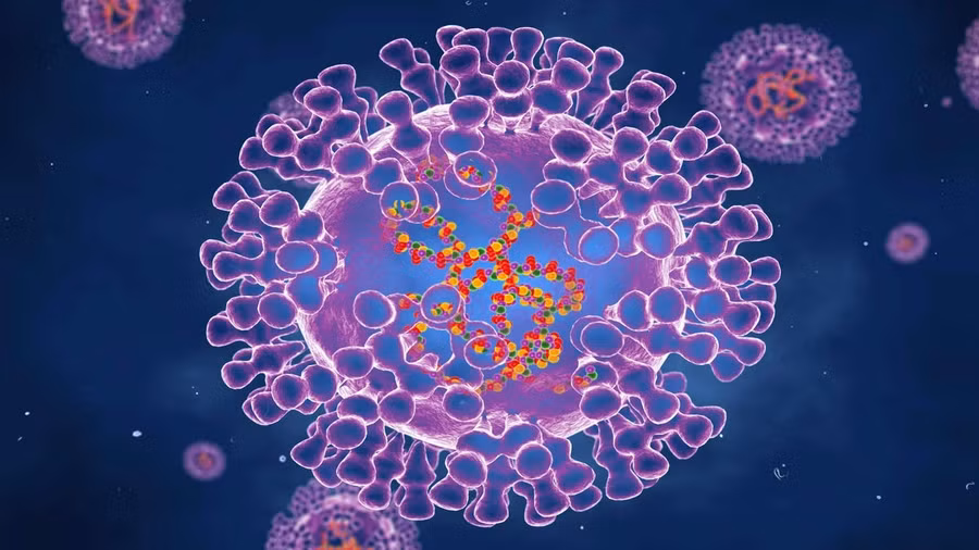 Hình ảnh virus gây bệnh đậu mùa khỉ. Ảnh: FORBES