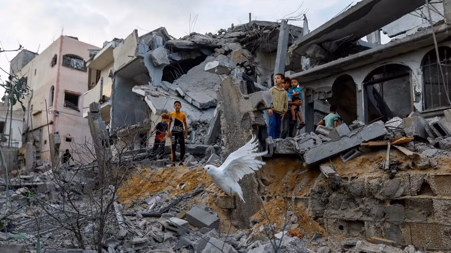 Hình ảnh chim bồ câu bên đống đổ nát ở Khan Younis, phía Nam Gaza hồi tháng 10/2023. Ảnh: Reuters