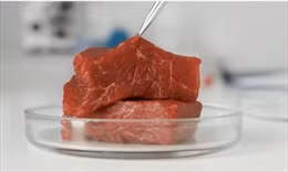 Ảnh minh họa của TTXVN