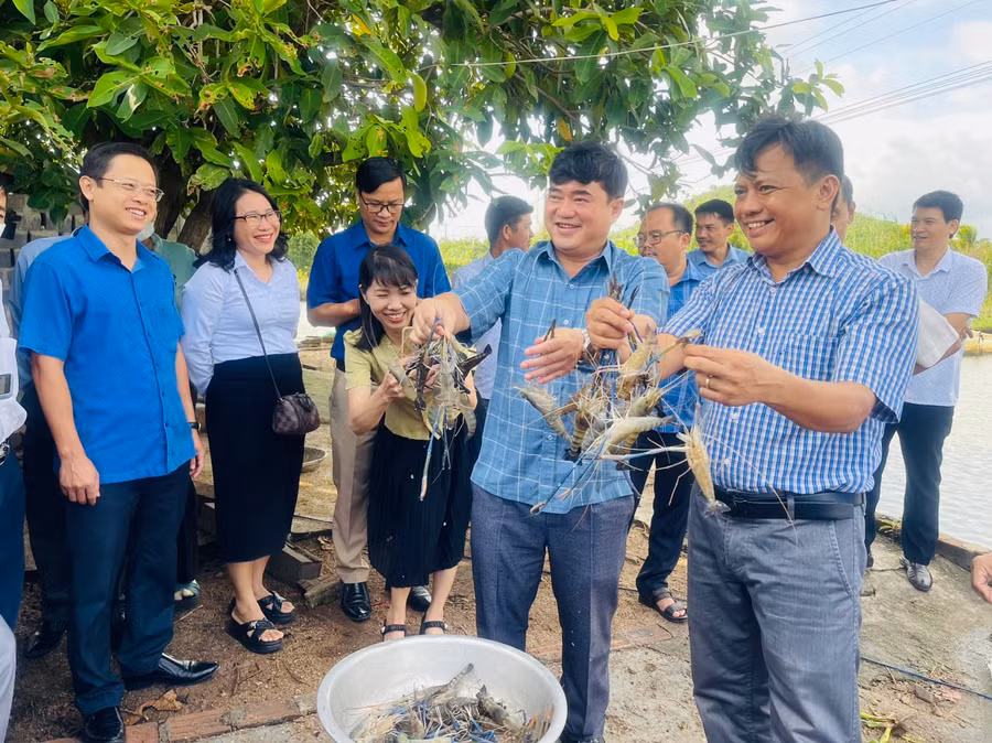 Nhiều mô hình sản xuất mới được triển khai mang lại thu nhập cao cho nông dân Phú Thiện. Ảnh: Vũ Chi Nhiều mô hình sản xuất mới được triển khai mang lại thu nhập cao cho nông dân Phú Thiện. Ảnh: Vũ Chi