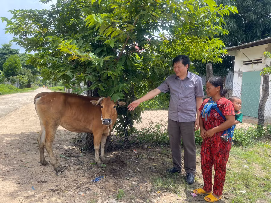 Phó Chủ tịch Thường trực HĐND tỉnh Trương Văn Đạt tặng bò sinh sản cho gia đình bà Kpă H'Lúi-hộ nghèo làng Drok. Ảnh: Vũ Chi