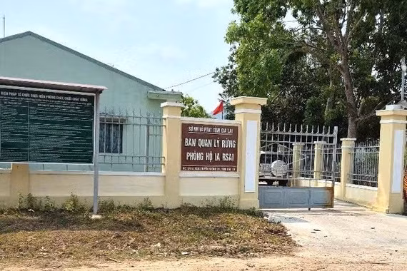 Bắt tạm giam Trưởng Ban Quản lý rừng phòng hộ Ia Rsai. 