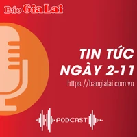 Tin tức sáng 2-11: Gia Lai xử lý nghiêm các vi phạm trong công tác bảo vệ bí mật nhà nước