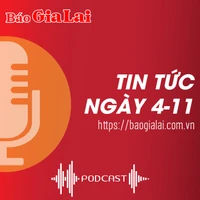 Tin tức sáng 4-11: Nữ sinh lớp 7 ở Pleiku bị đánh phải nhập viện