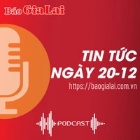 Tin tức sáng 20-12: Gia Lai đại diện Tây Nguyên tham gia Triển lãm Quốc phòng Quốc tế Việt Nam