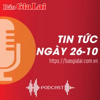 Tin tức sáng 26-10: Nhà máy Đường An Khê hỗ trợ kinh phí chuyển đổi sang trồng mía