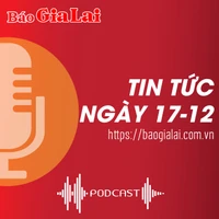 Tin tức sáng 17-12: Đăng ký cuộc thi xe đạp trẻ em, 1 phụ nữ ở Gia Lai bị lừa trên 2 tỷ đồng