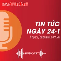 Tin tức sáng 24-1: Hơn 5.500 suất quà Tết tặng hội viên nông dân nghèo