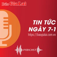 Tin tức sáng 7-1: Không có dấu hiệu tội phạm trong vụ tự ý san ủi hơn 6,4 ha đất ở Chư Sê