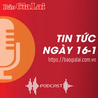 Tin tức sáng 16-1: Gia Lai xảy ra 99 vụ lừa đảo qua mạng, thiệt hại 36 tỷ đồng