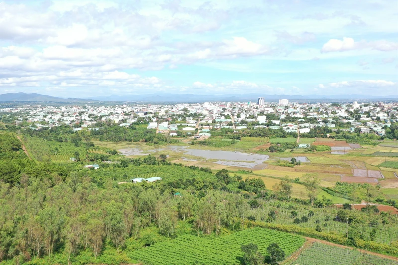 Gia Lai quy định tiêu chí thực hiện đấu thầu lựa chọn nhà đầu tư dự án có sử dụng đất