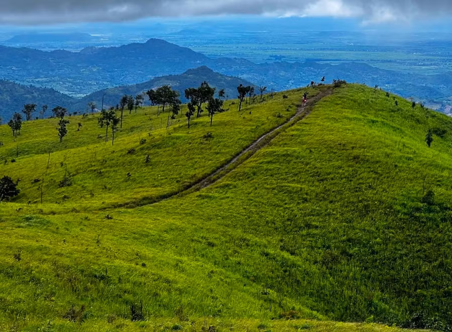 khu-vuc-rung-giap-ranh-giua-gia-lai-va-dak-lak-tren-dia-ban-xa-ia-rbol-noi-xay-ra-an-mang-anh-van-ngoc.jpg