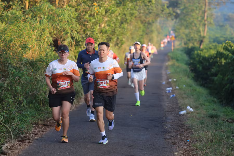 cac-runner-chay-qua-cac-vuon-ca-phe-vao-mua-thu-hoach-anh-van-ngoc.jpg