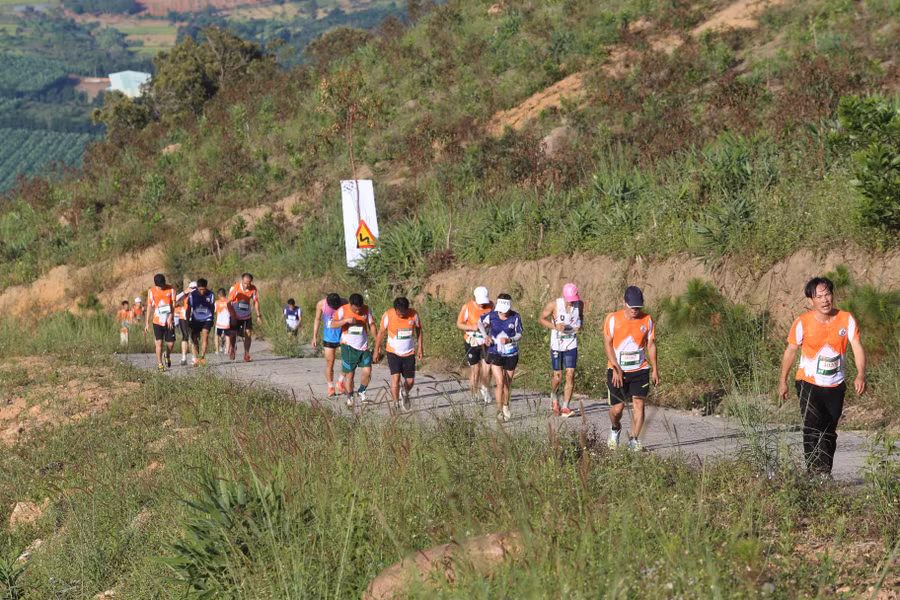 nhung-con-doc-thu-thach-bat-cu-chan-chay-nao-anh-van-ngoc-4405.jpg