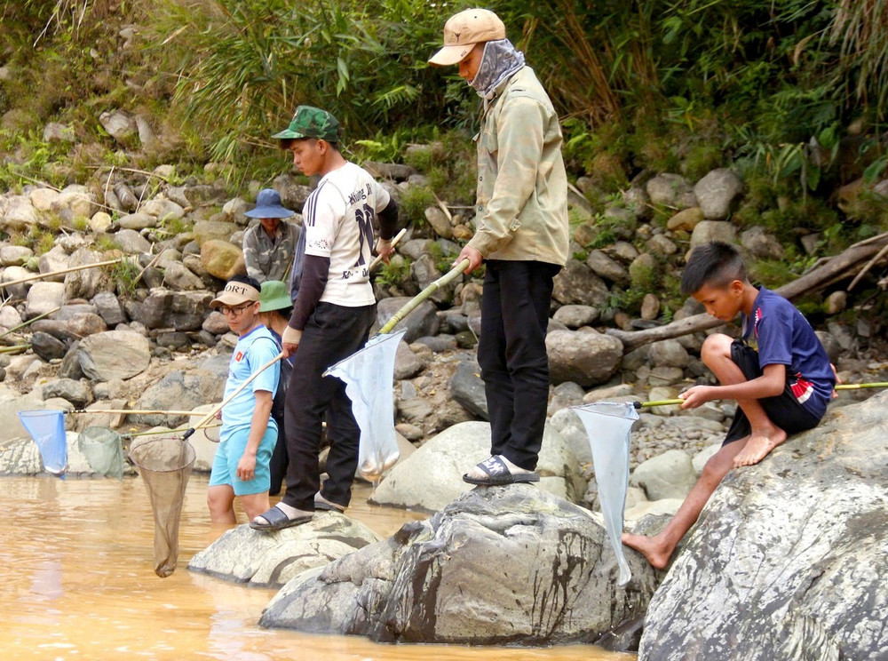 Mọi người vui vẻ, chờ cá say thuốc nổi lên để vớt. Người Giẻ Triêng 'gây mê' bắt cá bằng cây rừng ảnh 8