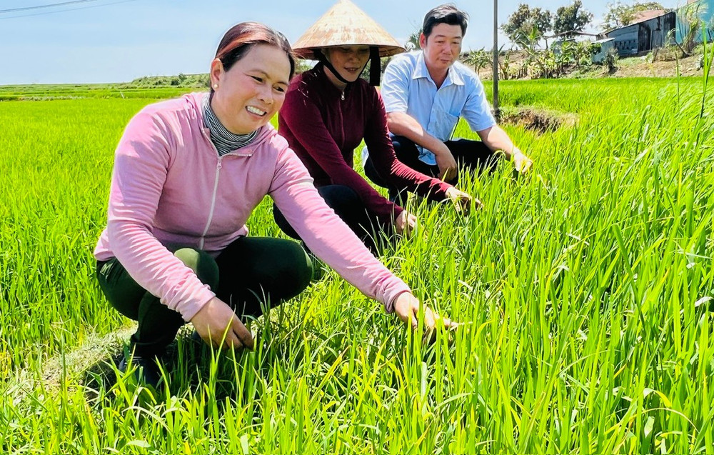 Chị Siu H’Minh (bìa trái; làng Plei Ring Đáp, xã Ayun Hạ) thăm ruộng lúa của gia đình. Ảnh: Đ.Y chi-siu-hminh-bia-trai-plei-ring-dap-xa-ayun-ha-cung-can-bo-thon-xa-tham-ruong-lua-anh-dinh-yen.jpg