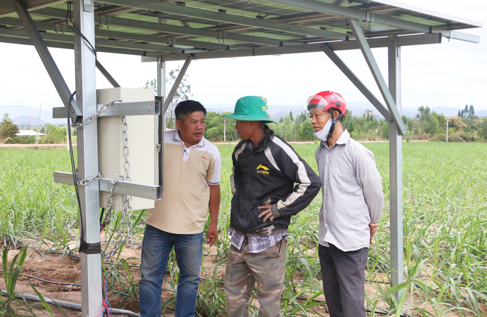 Anh Sơn đã đầu tư 200 triệu đồng để khoan giếng, lắp điện năng lượng mặt trời và hệ thống tưới nhỏ giọt để chống hạn và tăng hiệu quả sản xuất. Ảnh: Q.T anh-son-da-dau-tu-200-trieu-dong-de-lap-khoan-gieng-lap-dien-nang-luong-mat-troi-va-he-thong-tuoi-nho-giot-de-chong-han-va-tang-hieu-qua.jpg