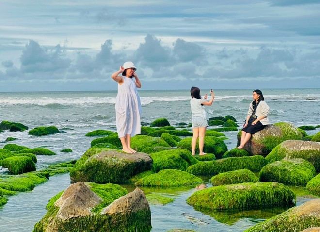 Nhiều bạn trẻ “lên đồ” để chụp hình tại bãi rêu Nam Ô Nhiều bạn trẻ “lên đồ” để chụp hình tại bãi rêu Nam Ô
